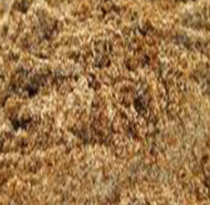MILKTHISTLE SEED POWDER